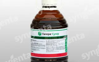 Галера 334 SL / Galera 334 SL