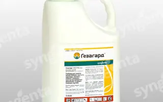 Гезагард / Gesagard