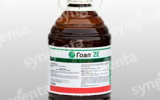 Гоал 2Е / Goal 2E