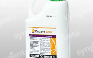 Каратэ Зеон 050 CS