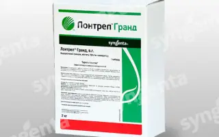 Лонтрел Гранд / Lontrel Grand