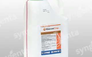 Максим Стар 025 FS