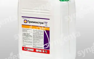 Примэкстра TZ Голд 500 SC