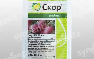 Скор 250 EC / Score 250 EC