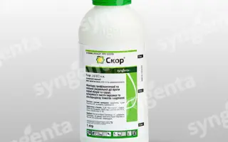 Скор 250 EC / Score 250 EC