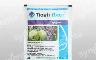 Тиовит Джет 80 WG