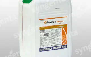 Максим Форте 050 FS т.к.с. 