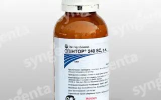 Спинтор 240, СК / Спінтор 240 СК