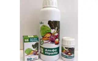 Альфа-Пиралид