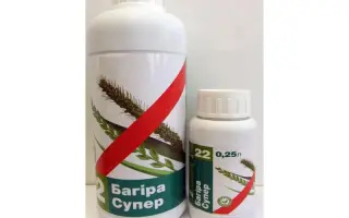 Багира Супер