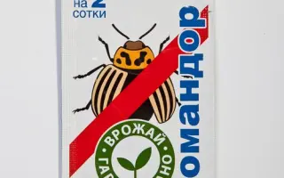 Командор