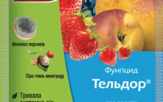 Тельдор 50 WG