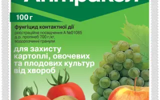 Антракол 70 WP