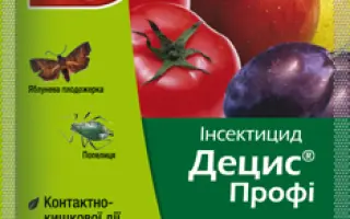 Децис Профи 25 WG