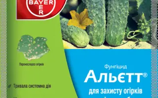 Альетт / Альєтт