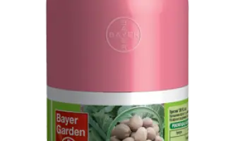 Престиж 290 FS