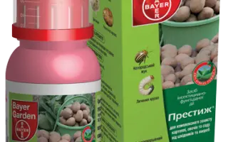 Престиж 290 FS