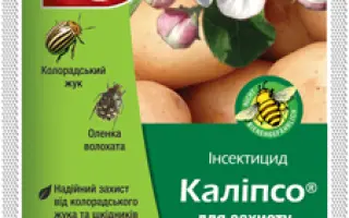 Калипсо 480 SC