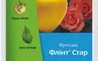 Флинт Стар 520 SC / Флінт Стар