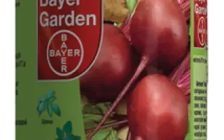 Бетанал Эксперт