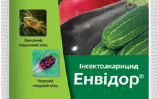 Энвидор / Енвідор