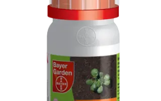 Клиник / Клінік