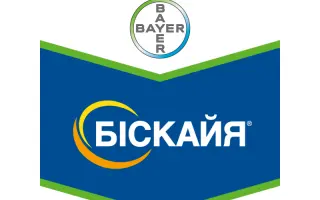 Биская 240 OD / Біскайя 250 ОД