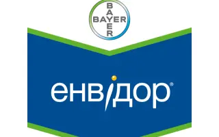 Энвидор / Енвідор