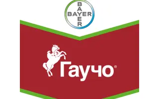 Гаучо