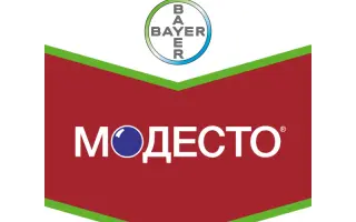 Модесто 480 FS