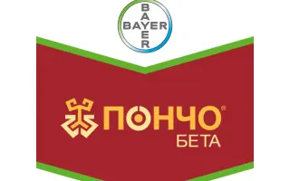 Пончо Бета FS 453,3