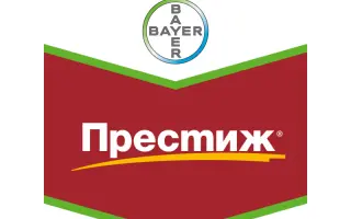 Престиж 290 FS