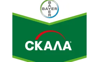 Скала 400 SC