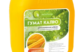 ГУМАТ КАЛИЯ КУКУРУЗА
