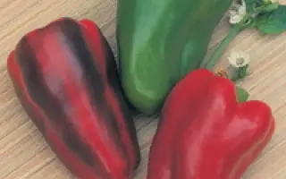 Центурион F1 