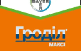 Гродил Макси 375 OD