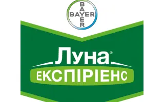 Луна Экспириенс