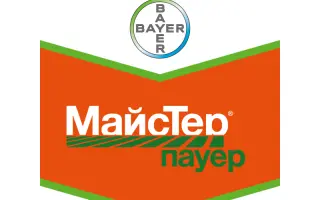 Майстер Пауэр
