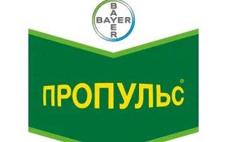 Пропульс