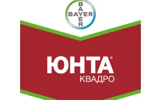 Юнта Квадро
