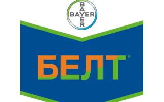 Белт
