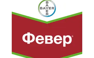 Февер