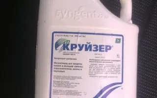 Круизер 350 FS