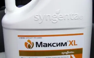 Максим XL 035 FS