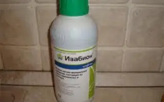ИЗАБИОН