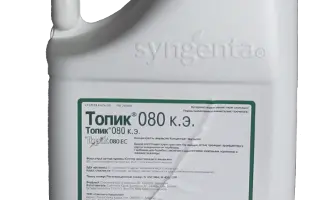ТОПИК, КЭ