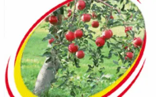 ИНСЕГАР, ВДГ