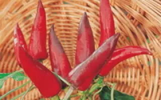 Таинственный остров