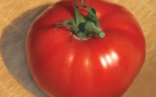 Большой брат F1 