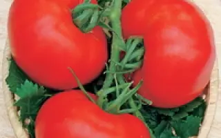 Ред Манул F1 